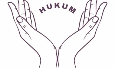 Hukum Manusia